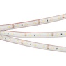 Лента светодиодная RTW 2-5000PS 12V Warm2700 (3528, 300 LED, LUX) (Arlight, 4.8 Вт/м, IP67)